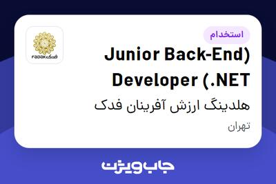 استخدام (Junior Back-End Developer (.NET در هلدینگ ارزش آفرینان فدک