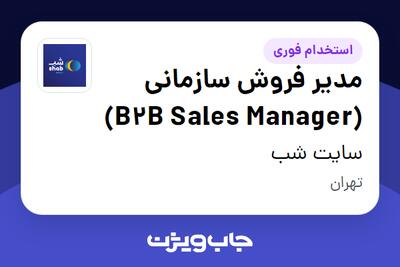 استخدام مدیر فروش سازمانی (B2B Sales Manager) در سایت شب