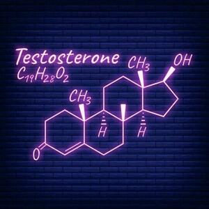 راههای افزایش تستوسترون در مردان