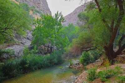 نشاط  گمشده باغ ایرانی  لار