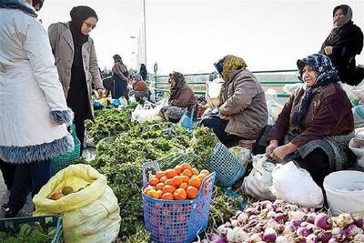 ساماندهی مشاغل زنان روستایی و عشایری