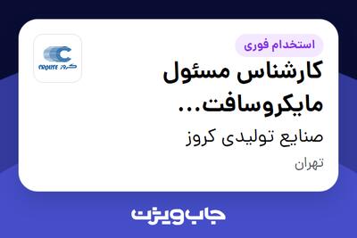 استخدام کارشناس مسئول مایکروسافت (Microsoft) در صنایع تولیدی کروز