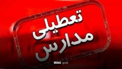 چهارشنبه ۵ دی تعطیل شد/ برنامه تعطیلی فردا ادارات، مدارس و دانشگاه‌ها