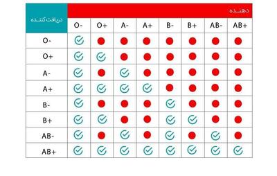 آشنایی با گروه‌های خونی و اهمیت آن‌ها - سبک ایده آل