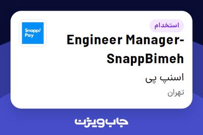 استخدام Engineer Manager-SnappBimeh در اسنپ پی