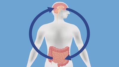 میگنا - بزرگتر شدن مغز با فعالیت غیر عادی روده