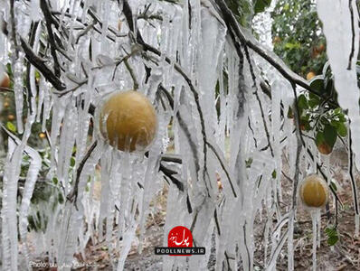 رکورددار سرما امروز منفی ۱۱ درجه بود