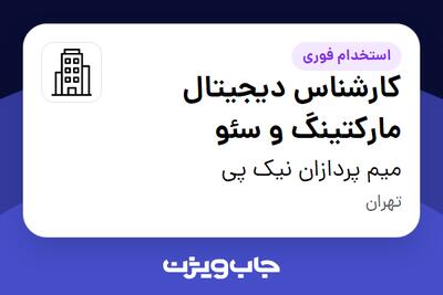 استخدام کارشناس دیجیتال مارکتینگ و سئو در میم پردازان نیک پی