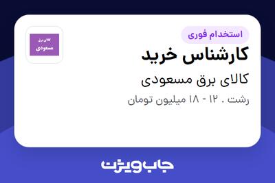 استخدام کارشناس خرید در کالای برق مسعودی