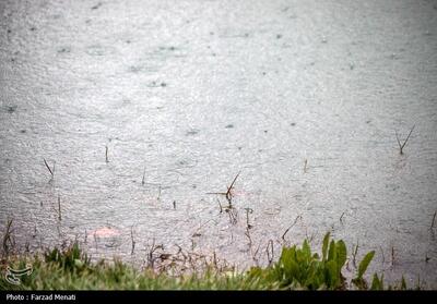 بارش باران از فردا در کردستان/دما 7 درجه کاهش می‌یابد - تسنیم