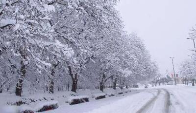 صدور هشدار نارنجی بارش برف در ۵ استان غربی