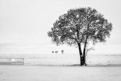 احتمال تکرار سرمای غیرعادی زمستانی در سمنان و ضرورت مصرف بهینه انرژی