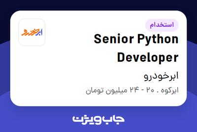 استخدام Senior Python Developer در ابرخودرو