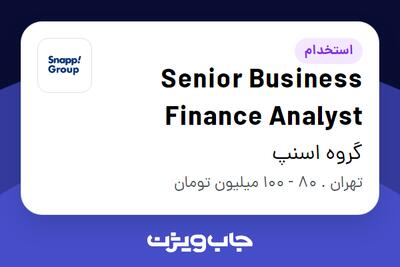 استخدام Senior Business Finance Analyst در گروه اسنپ