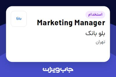 استخدام Marketing Manager در بلو بانک