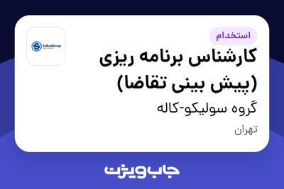 استخدام کارشناس برنامه ریزی (پیش بینی تقاضا) در گروه سولیکو-کاله