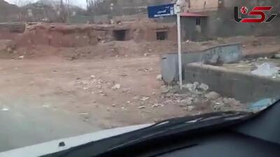 حمله پلنگ به روستایی در دماوند/ کشمیری: محیط زیست تنهاست؛ کم‌کاری وزارت آموزش و پرورش، آموزش عالی و رسانه ها مشهود است