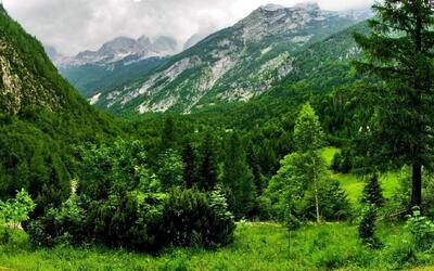 بهترین زمان برای سفر از تهران به رشت؛ نکاتی برای لذت‌بردن از طبیعت گیلان