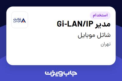 استخدام مدیر Gi-LAN/IP در شاتل موبایل