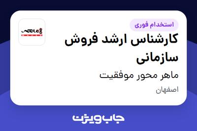 استخدام کارشناس ارشد فروش سازمانی در ماهر محور موفقیت