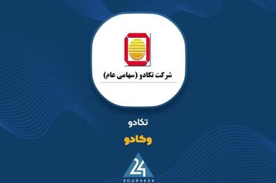 «وکادو» در آذر خرید و فروشی نداشت