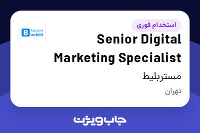 استخدام Senior Digital Marketing Specialist در مستربلیط