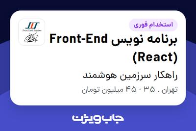 استخدام برنامه نویس Front-End (React) - آقا در راهکار سرزمین هوشمند