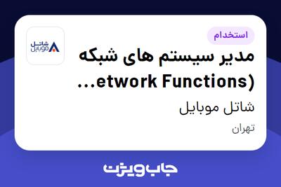 استخدام مدیر سیستم های شبکه (Network Functions Manager) در شاتل موبایل