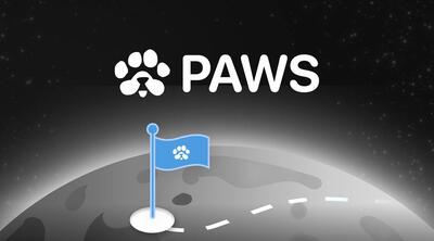 پاز آماده ورود به بازار! جزییات جدید درباره ایردراپ و قیمت اولیه توکن PAWS