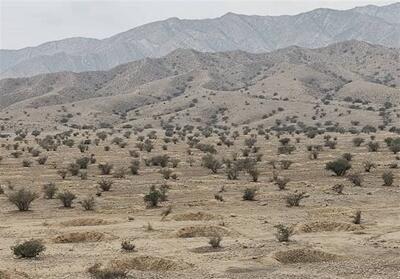 ایجاد 9000 هلالی آبگیر در دشت بوشکان دشتستان - تسنیم