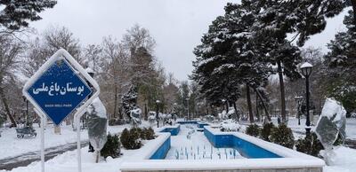 بارش شدید برف مشهد را فرا می‌گیرد