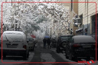 بارش برف در منطقه یک تهران