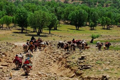 از چراگاه تا بازار؛ نقش حیاتی راه‌های عشایری در رونق تولید