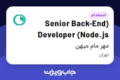 استخدام (Senior Back-End Developer (Node.js در مهر مام میهن