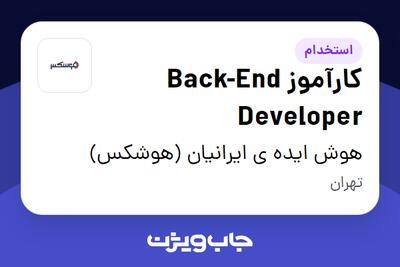 استخدام کارآموز Back-End Developer در هوش ایده ی ایرانیان (هوشکس)