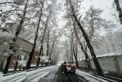 بارش برف در شمال تهران + فیلم