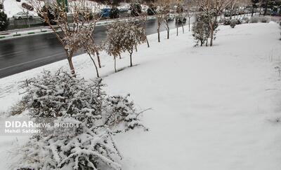 بارندگی و سرما کشور را فرا می‌گیرد/ هشدار کاهش دما در ۲۶ استان