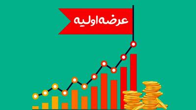 عرضه اولیه جدید در راه بازار سرمایه | سهامداران بخوانند