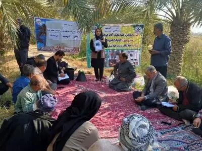 انتقال تجربه و دانش مبارزه با آفات قرنطینه در آبادان