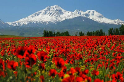 سبلان ثبت جهانی می‌شود