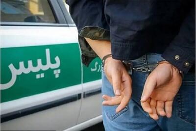 اعتراف به ۳۰ فقره سرقت در شیراز