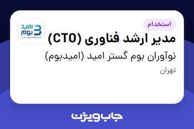 استخدام مدیر ارشد فناوری (CTO) در نوآوران بوم گستر امید (امیدبوم)