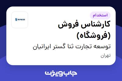 استخدام کارشناس فروش (فروشگاه) - آقا در توسعه تجارت ثنا گستر ایرانیان