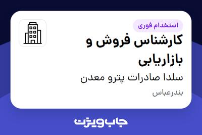 استخدام کارشناس فروش و بازاریابی - خانم در سلدا صادرات پترو معدن