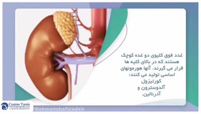 هر آنچه باید درباره بیماری آدیسون بدانید