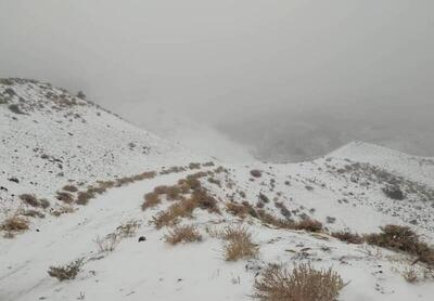 فیلم/ بارش برف یک جادهٔ روستایی در خراسان‌جنوبی را ناپدید کرد