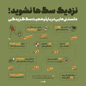 عکس/ خطر سگ‌گزیدگی‌ هرسال بیشتر از پارسال است!