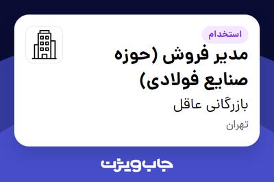 استخدام مدیر فروش (حوزه صنایع فولادی) - آقا در بازرگانی عاقل