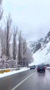 فیلم / جاده چالوس برفی