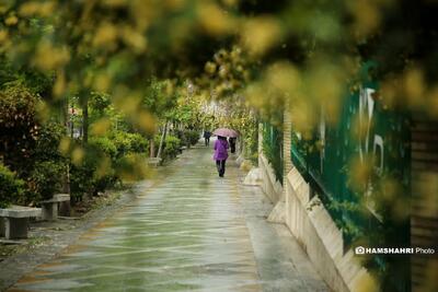 هشدار بارش تگرگ و کولاک برف در تهران/ آماده‌باش دستگاه‌های اجرایی